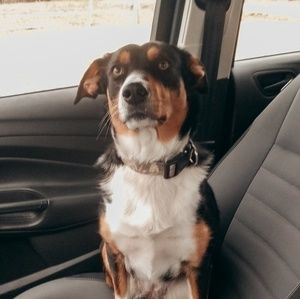 Meet your Posher, Olivia